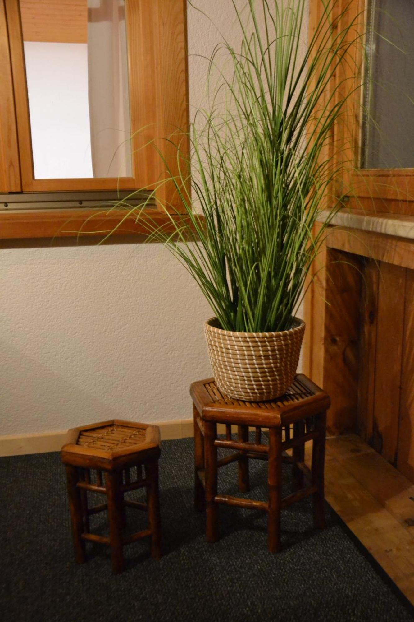 Sunnaschi Appartements - Wohnungen Oder Gesamt Als "Huette" 拉特恩斯 外观 照片
